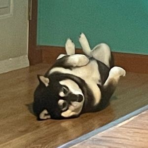 Meet your Posher, Dominic